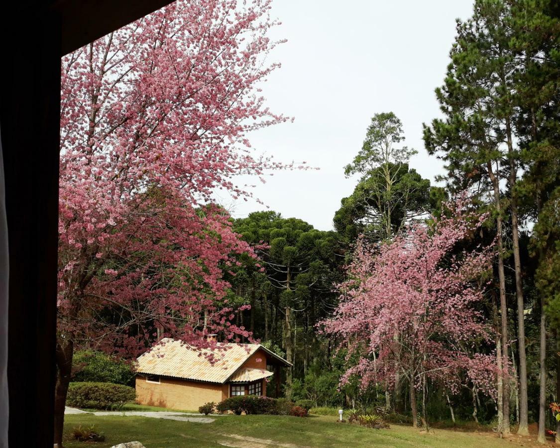 Pousada Candeias Cunha Exterior foto